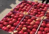 Фото Продаем огурцы, лук, картофель, яблоки.